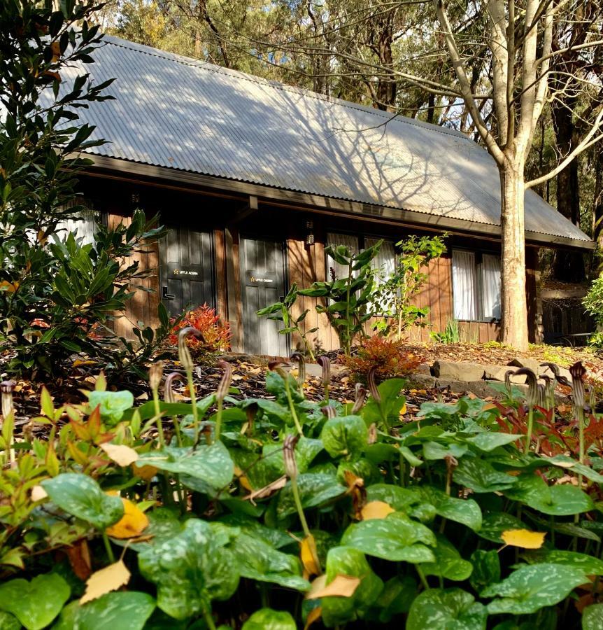 Emerald Star Cottages Exterior photo